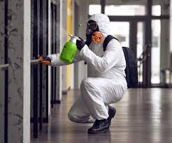 Best Mold Remediation for Healthcare Facilities  in Windsor, IL